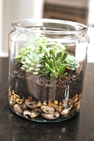 Glass Zen Garden.jpg