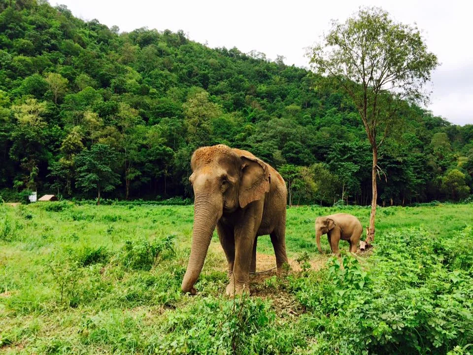 Chiang Mai, Thailand