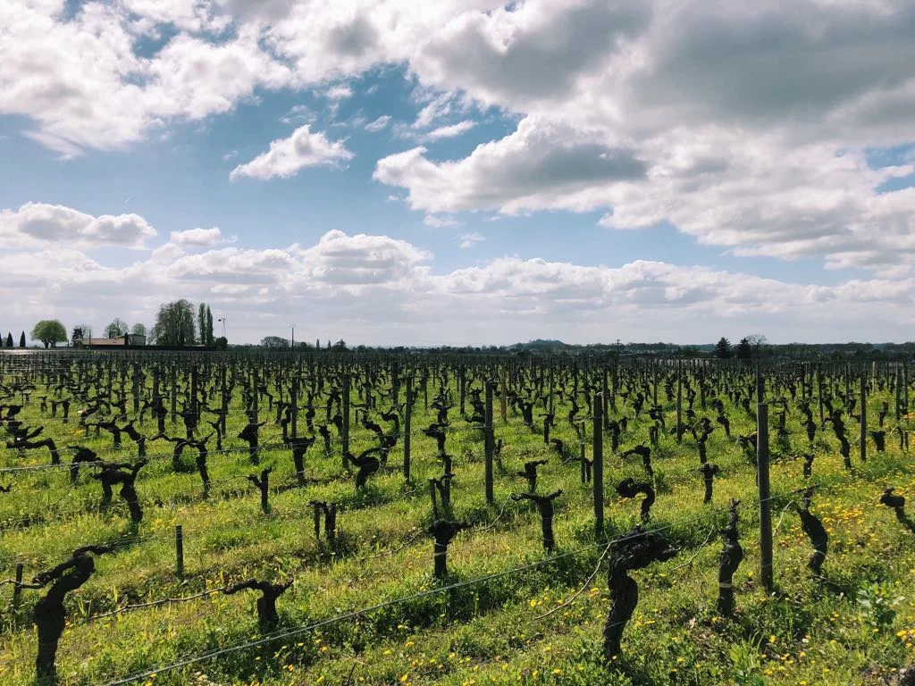 St. Emillion Winery...omg