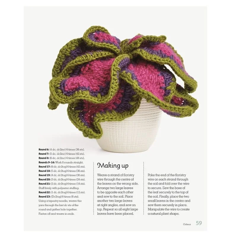 9781784946418_Crochet House plants_WB_In7.jpg