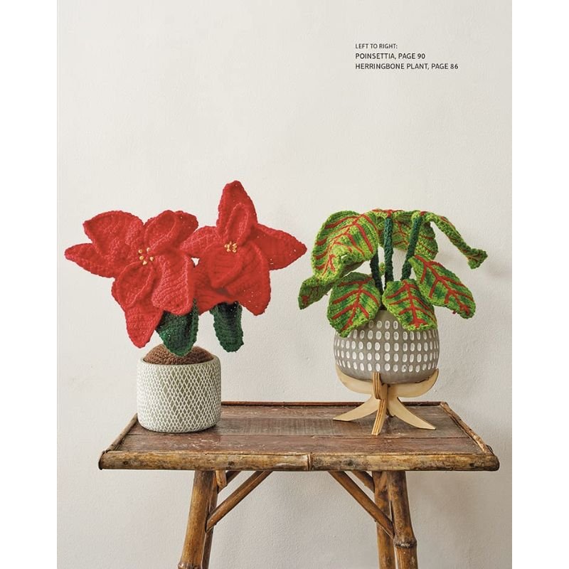 9781784946418_Crochet House plants_WB_In5.jpg