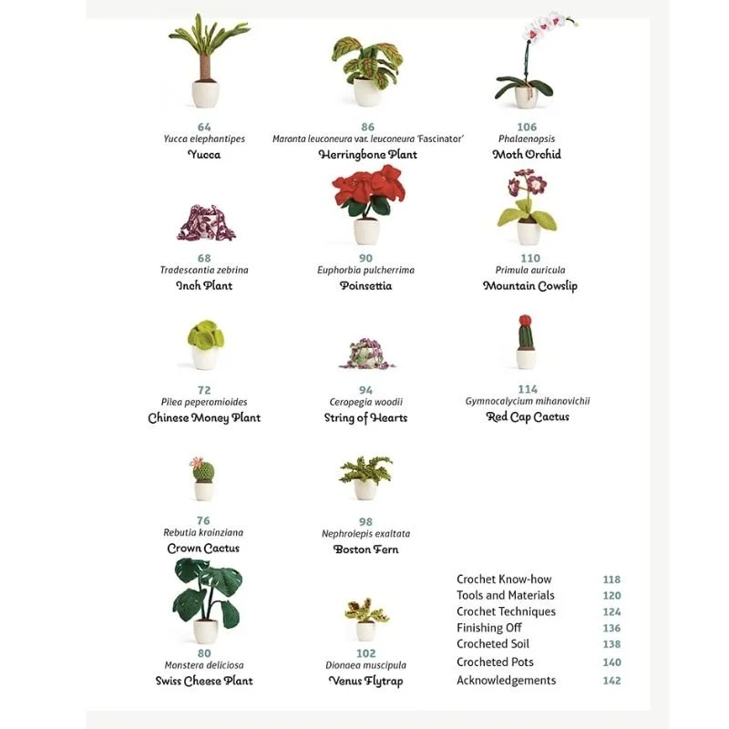 9781784946418_Crochet House plants_WB_In2.jpg