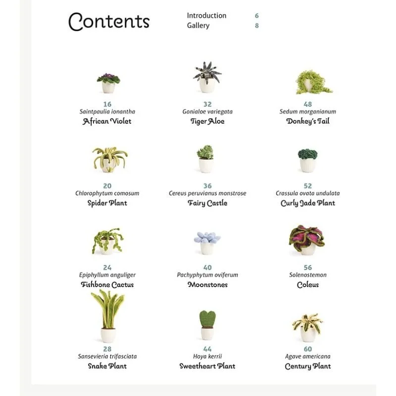 9781784946418_Crochet House plants_WB_In1.jpg
