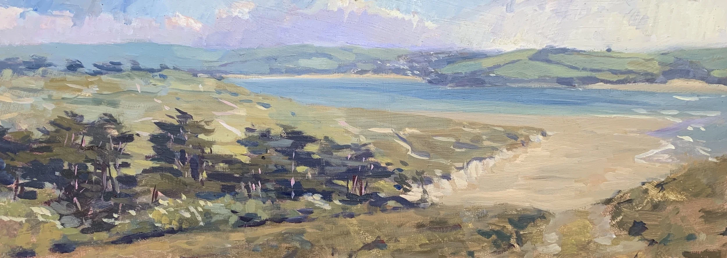 Looking towards Padstow from Brea Hill