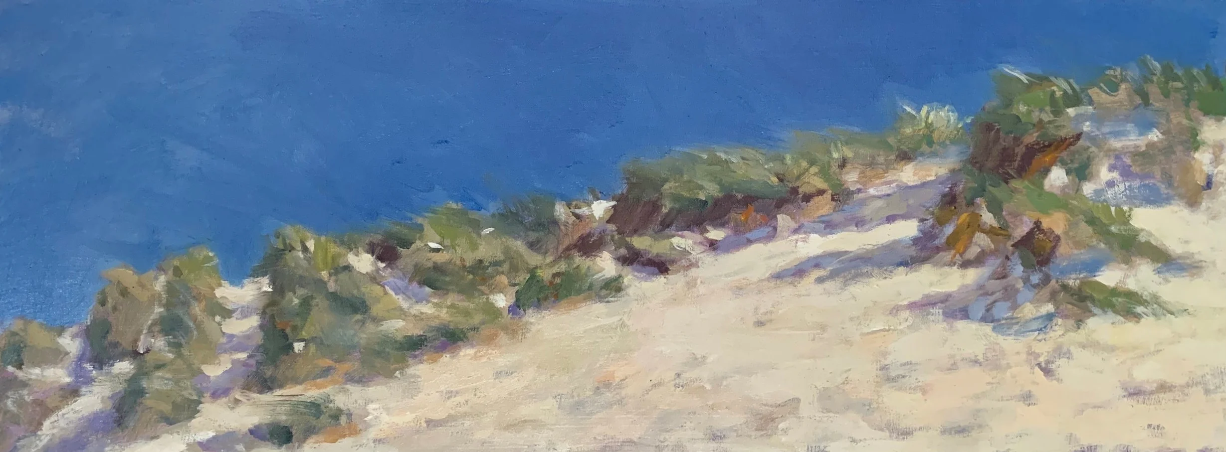 Cornish Dunes