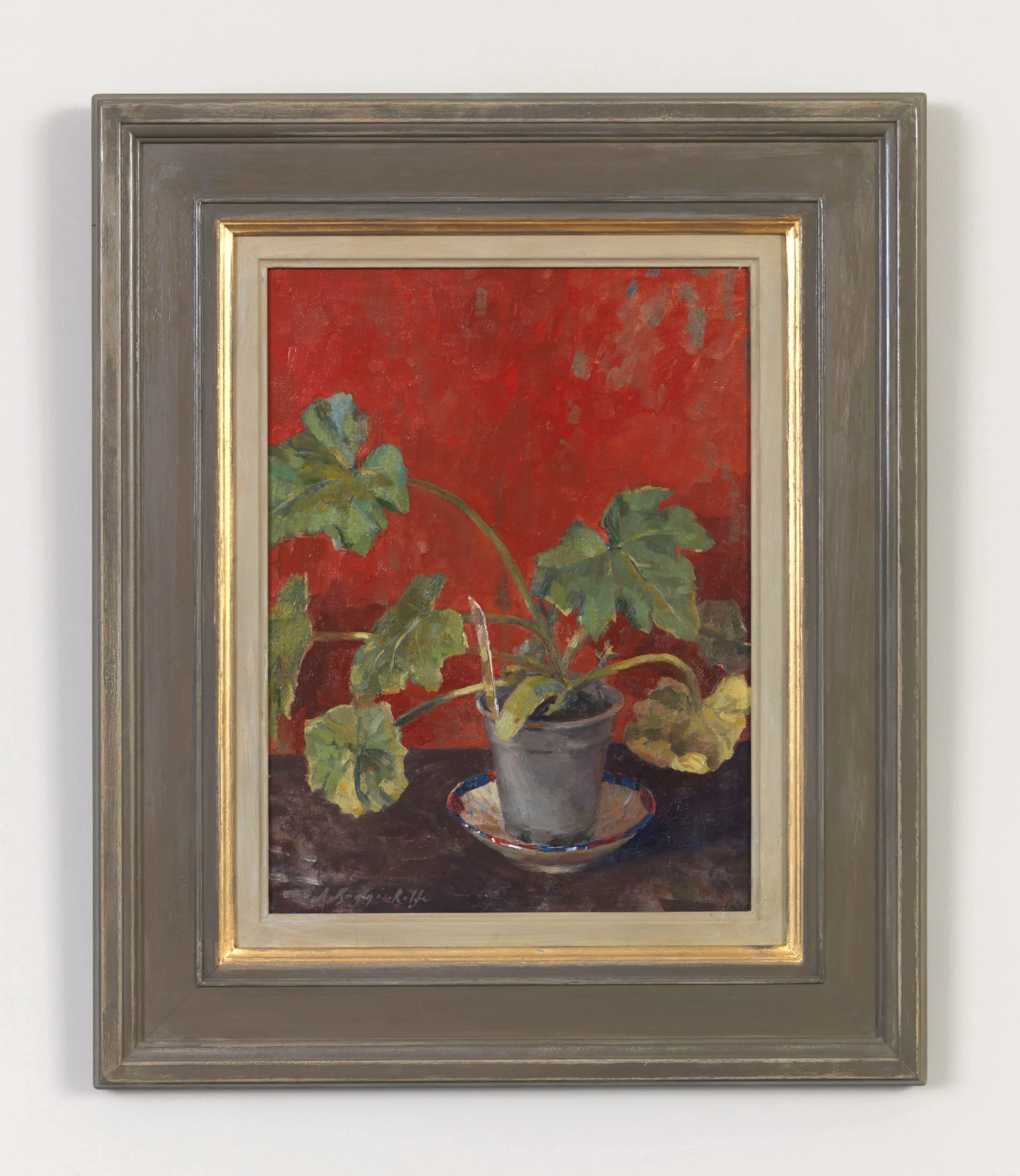 ABR_Courgette Plant.jpeg