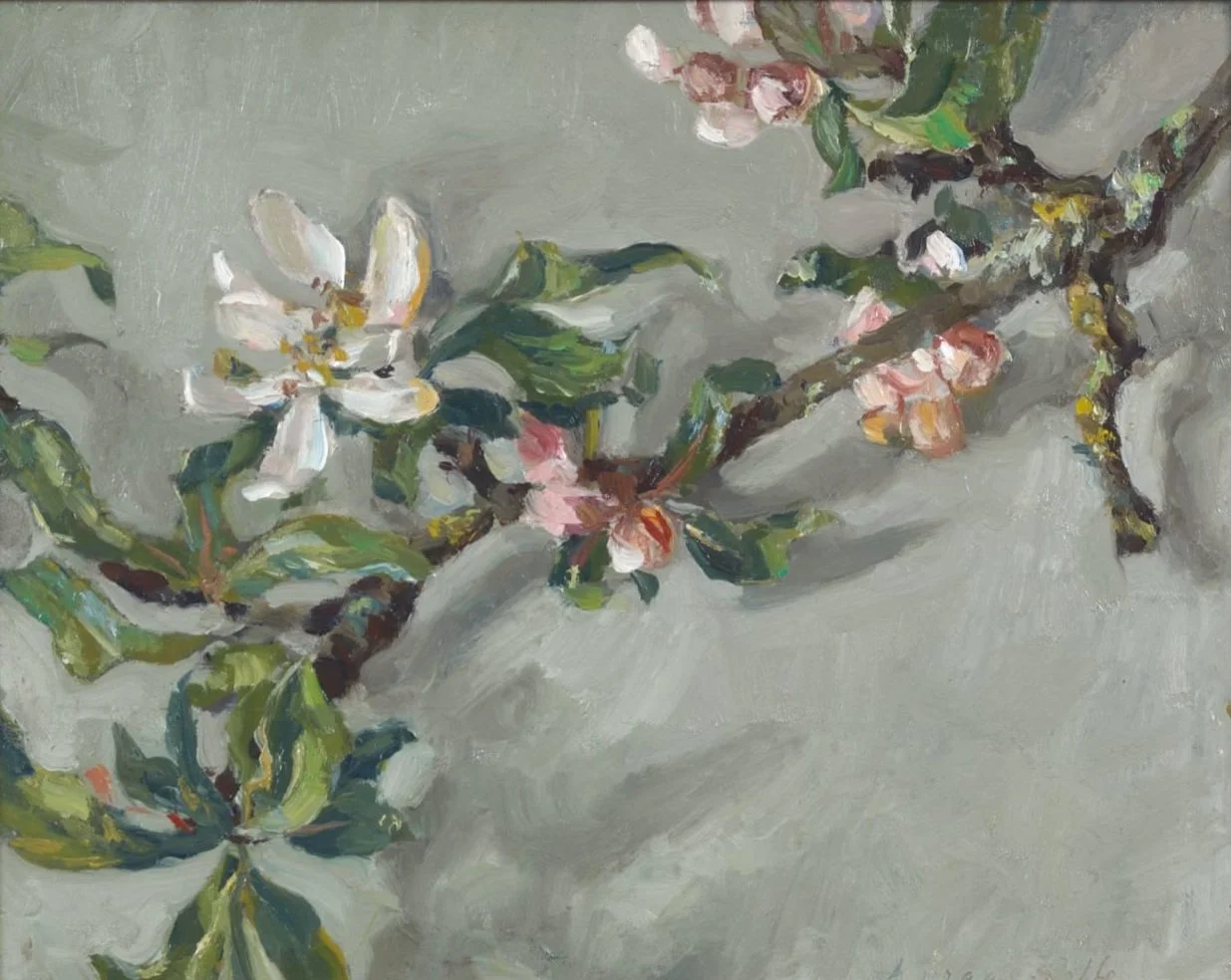Apple Blossom