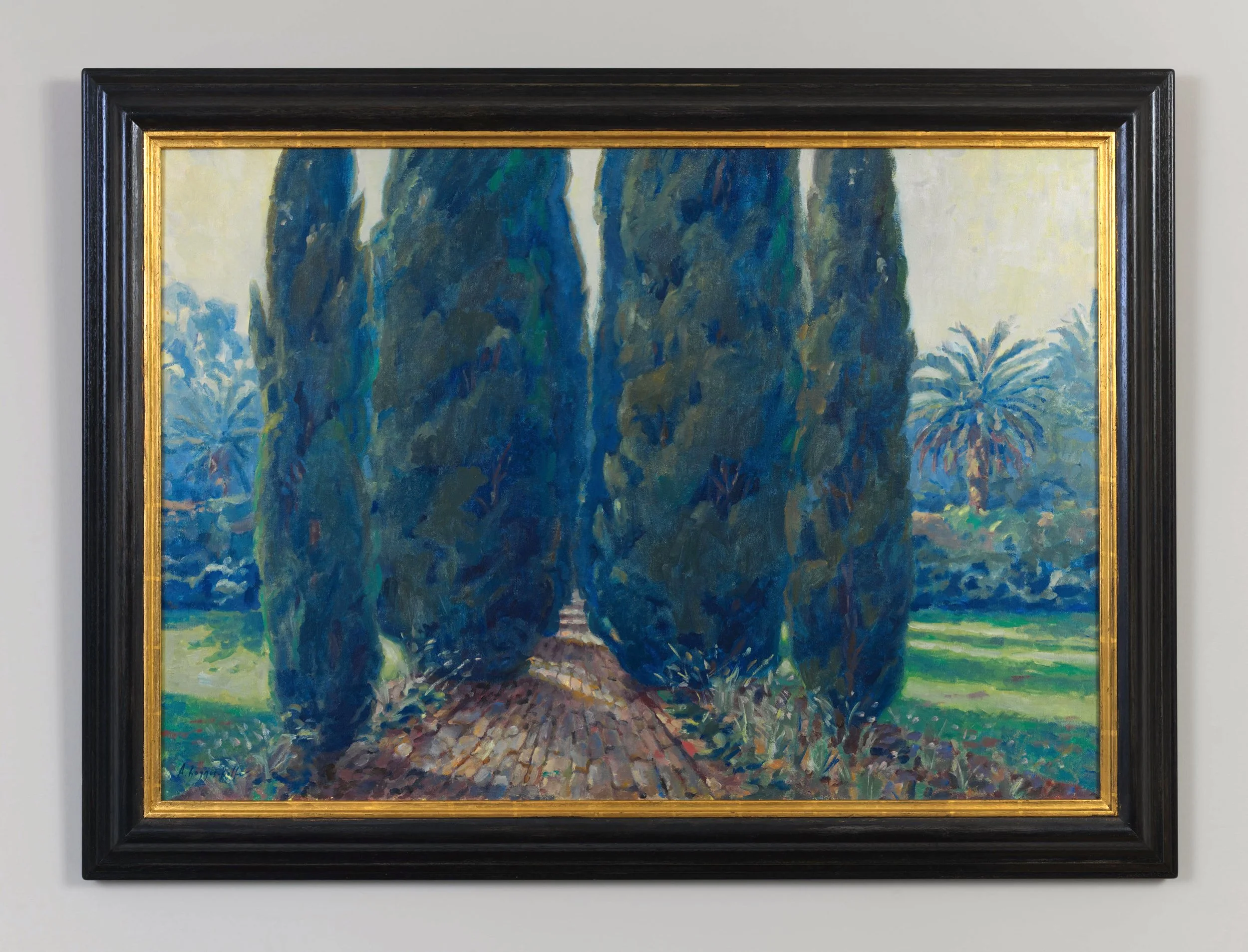 ABR_Cypress Trees.jpeg