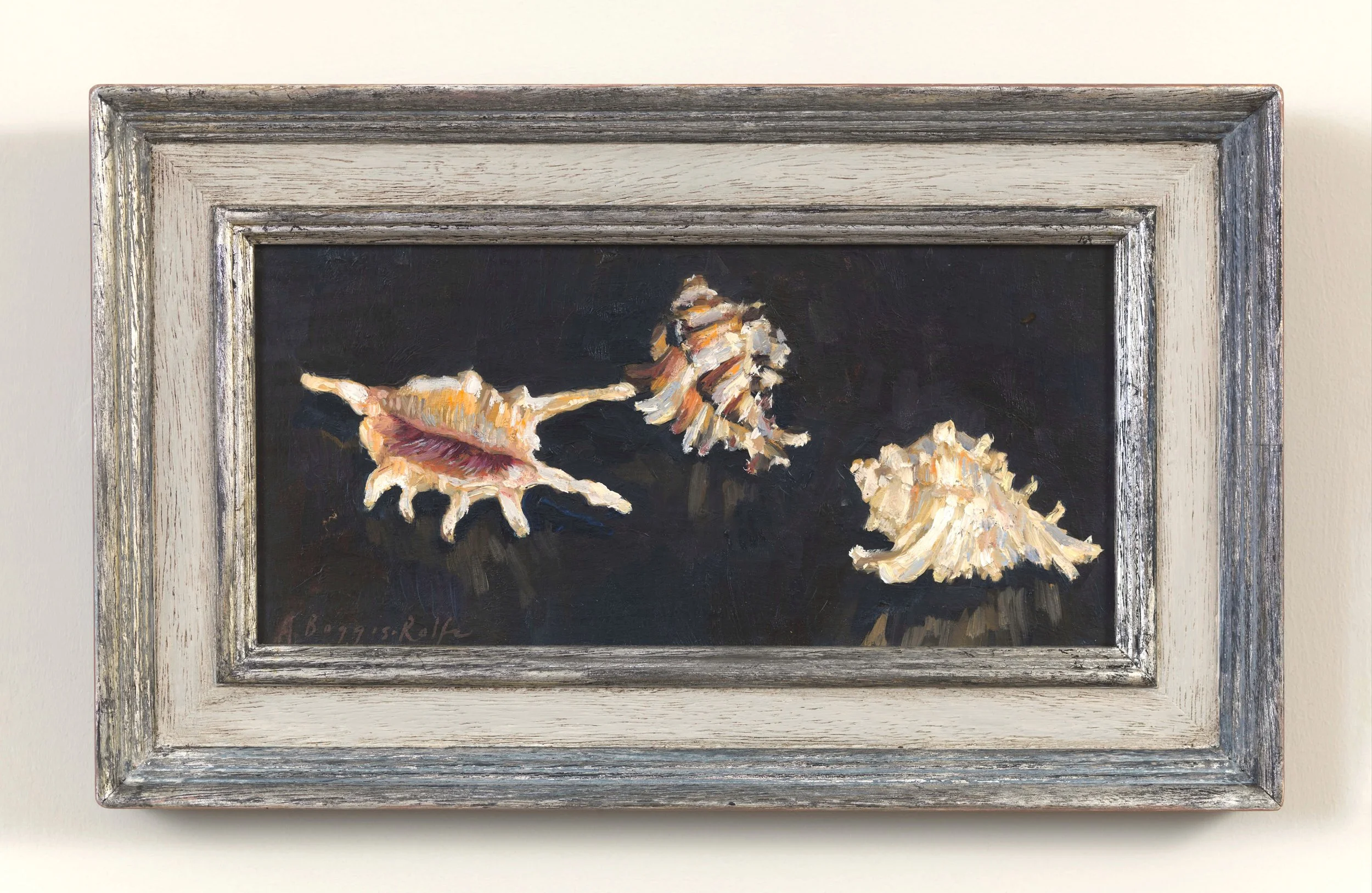 ABR_Seashells II.jpeg