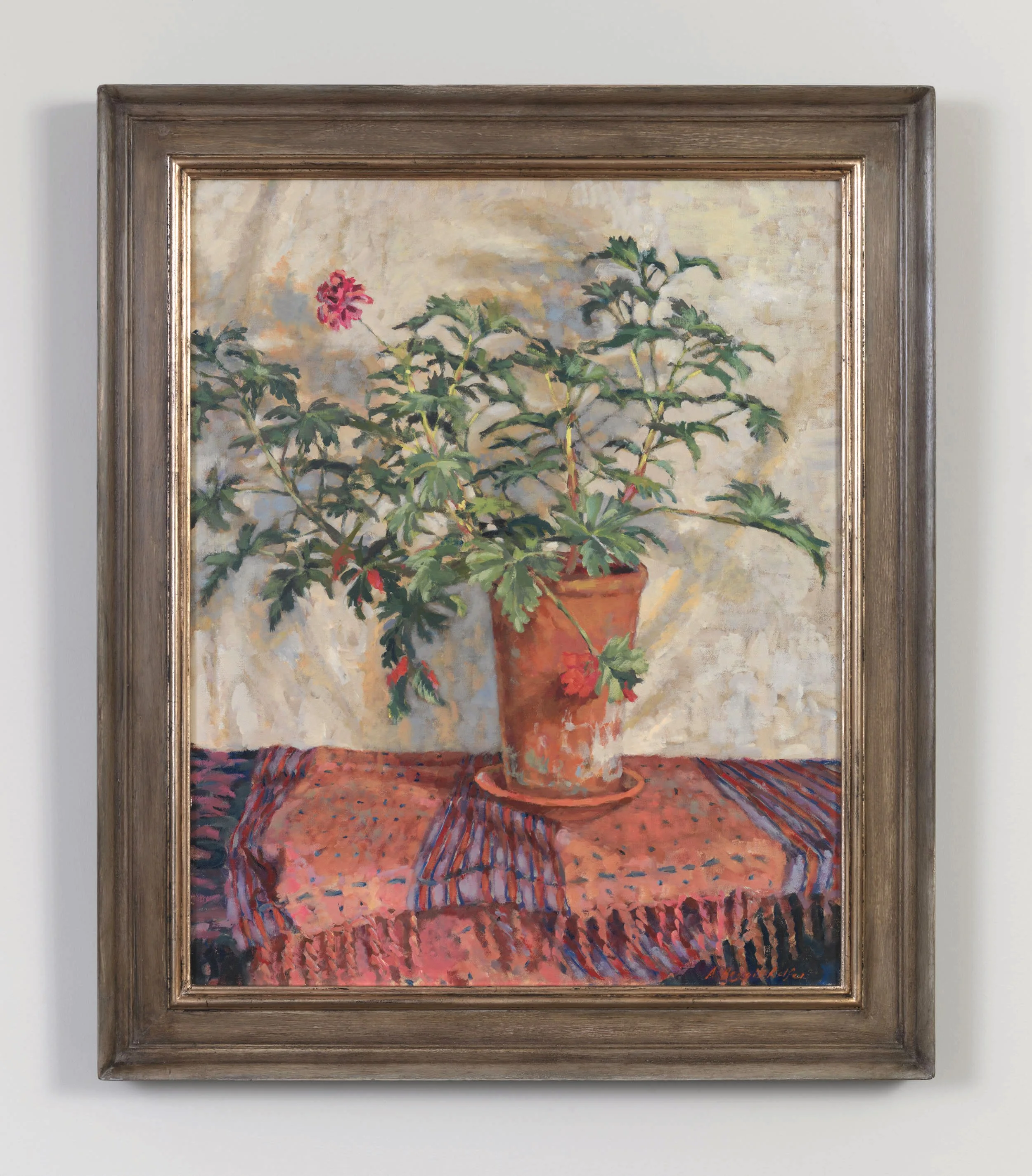 ABR_Pink Pelargonium.jpeg