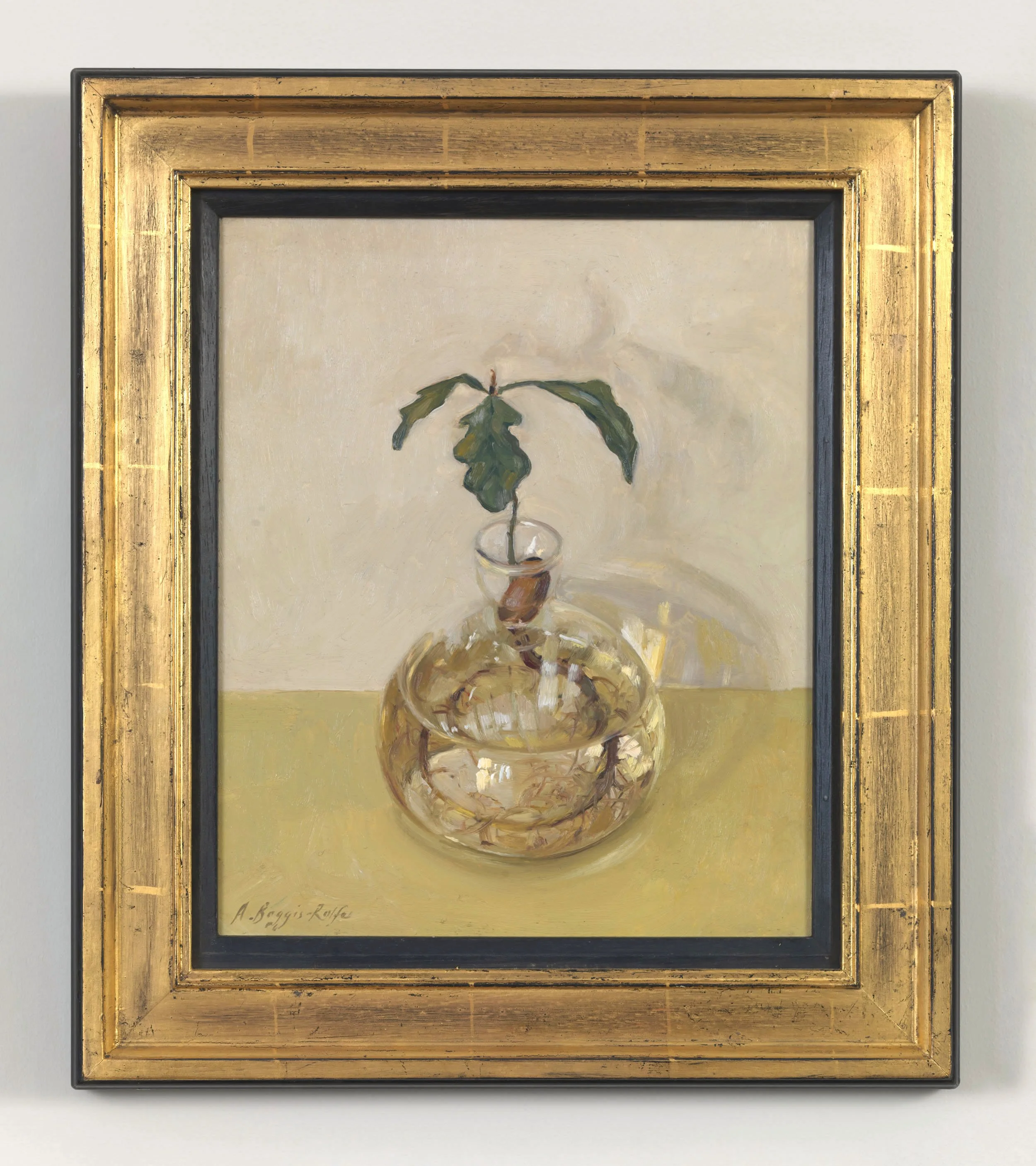 ABR_Tree of Life.jpeg