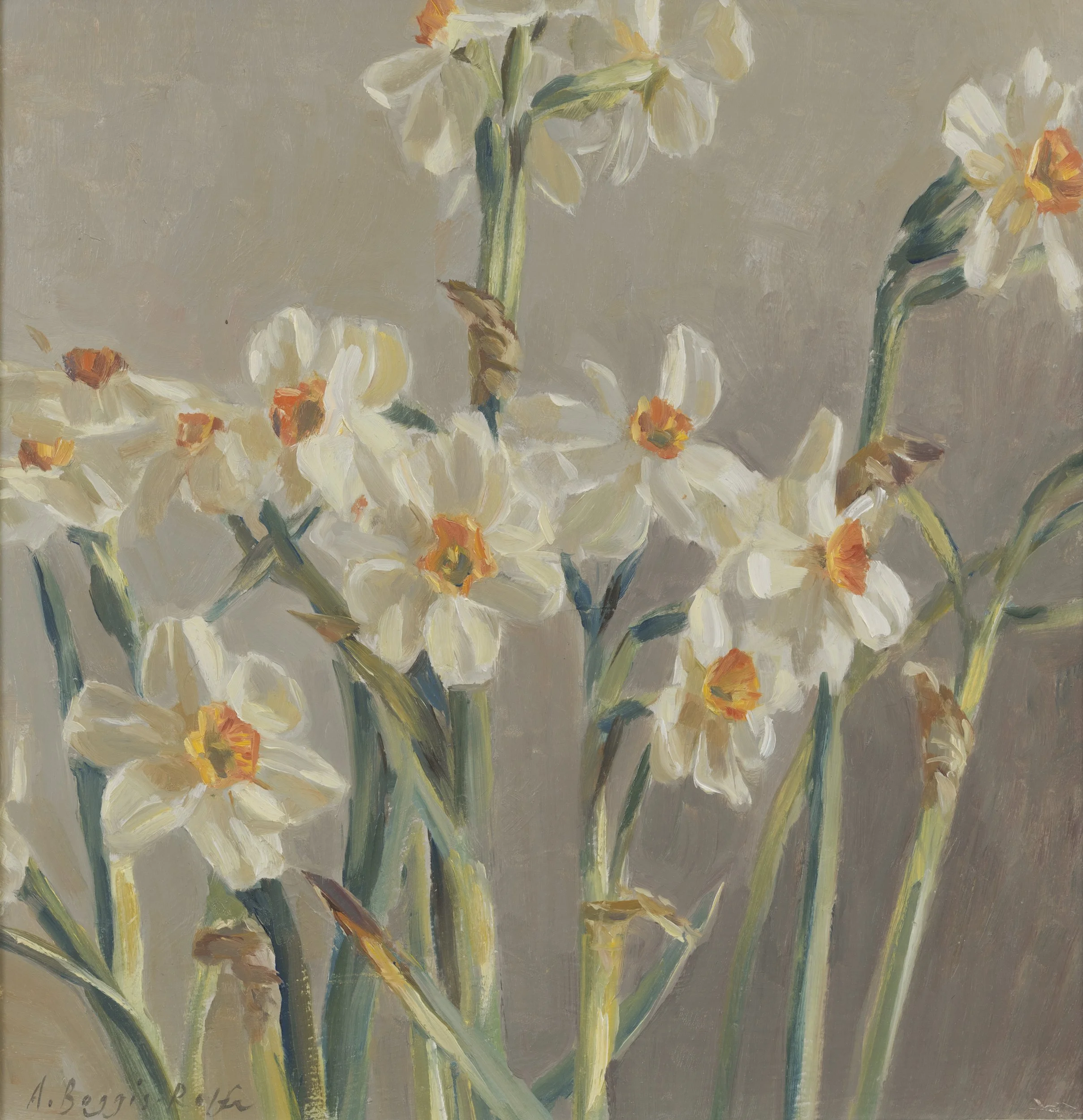 Narcissi