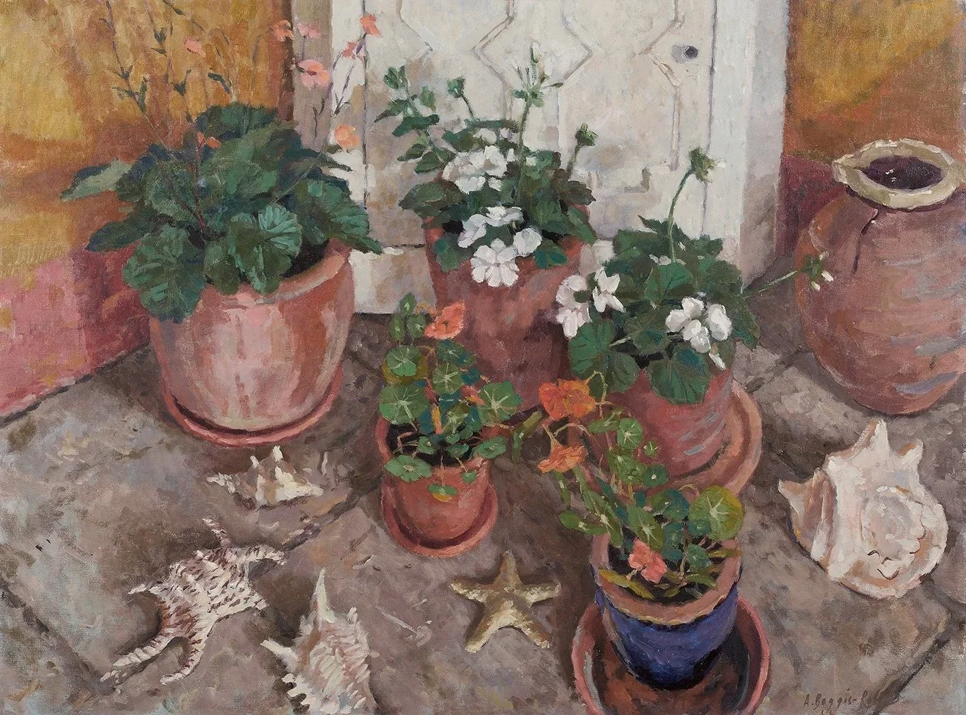 Geraniums, Geum and Nasturtiums