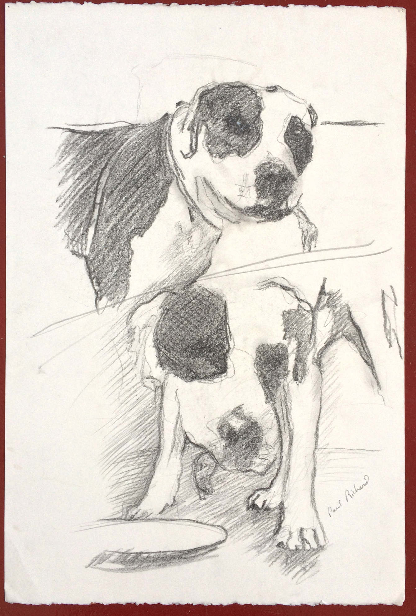 Untitled(Ranger), Pencil on Paper, 15"x 22", 2010