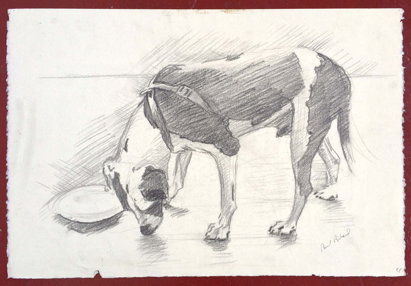 Untitled (Ranger), Pencil on Paper, 15"x 22", 2010