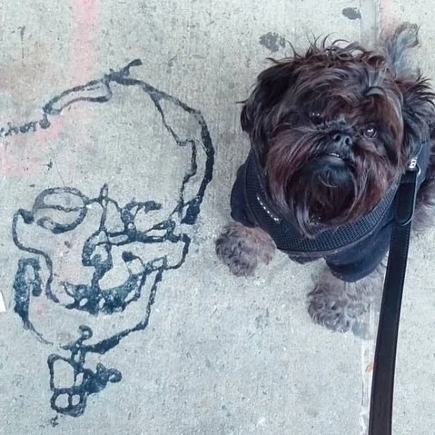 Reposting this courtesy of thedsclub #thedsclub @thedsclub and Lil Bo. #PaulRichard #PaulRichardArt #PaulRichardNYC #DripArt #DripPainting #DripDrawing #UrbanArt #StreetArt