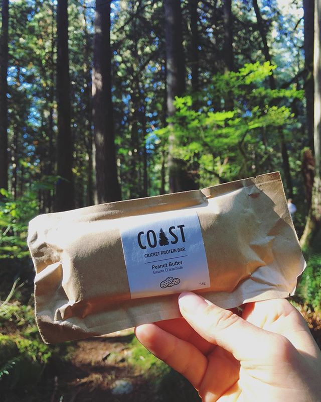 Eating bugs in the woods with my spirit animals 👌🏼 @coastprotein