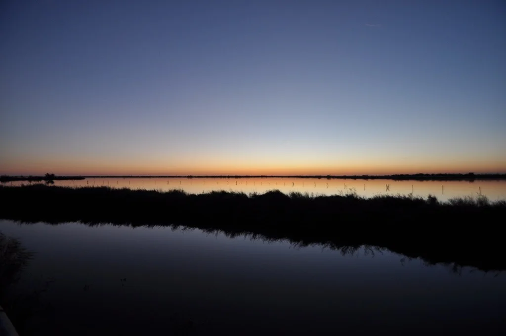 Twilight