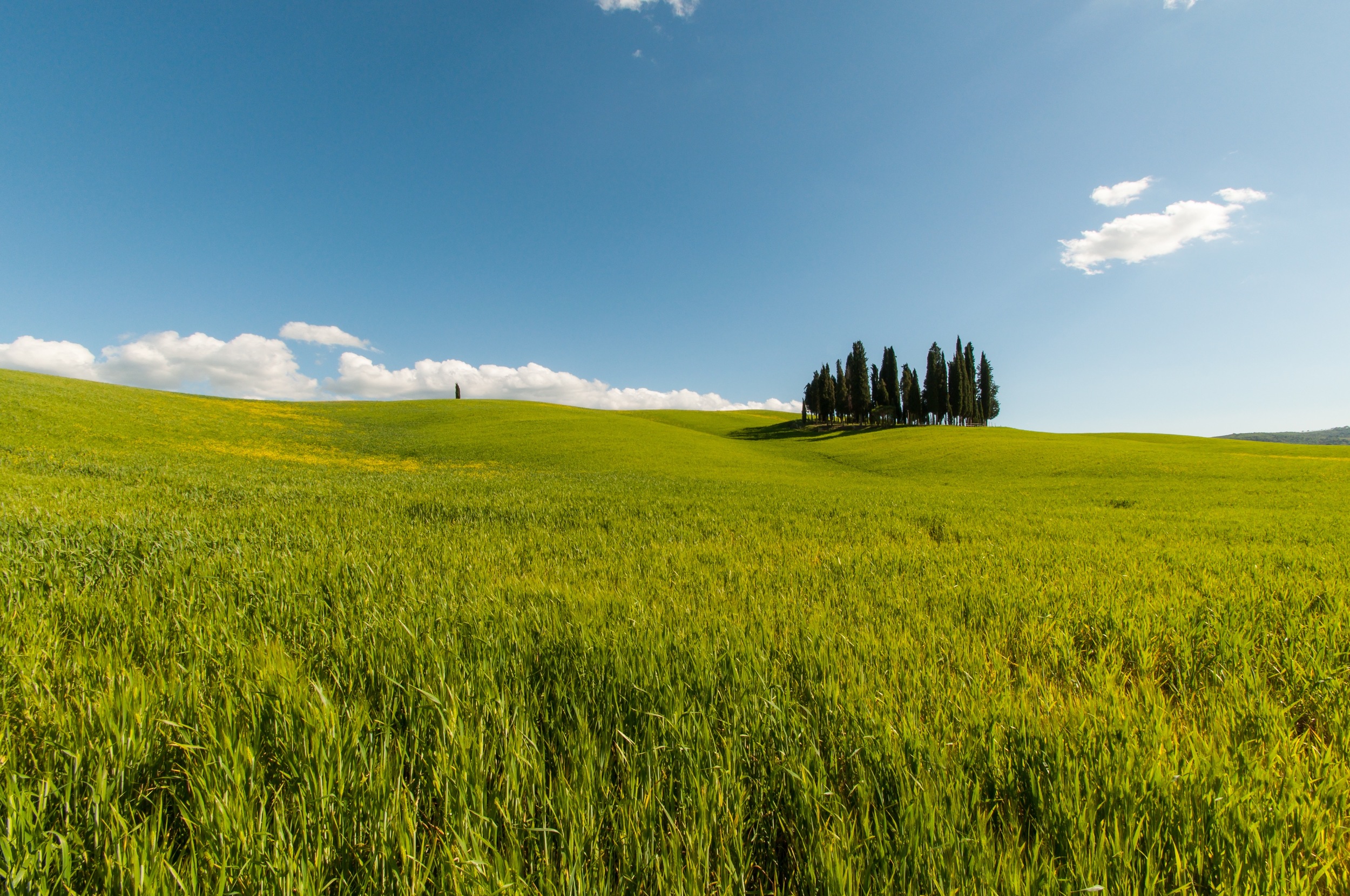 Val d'Orcia