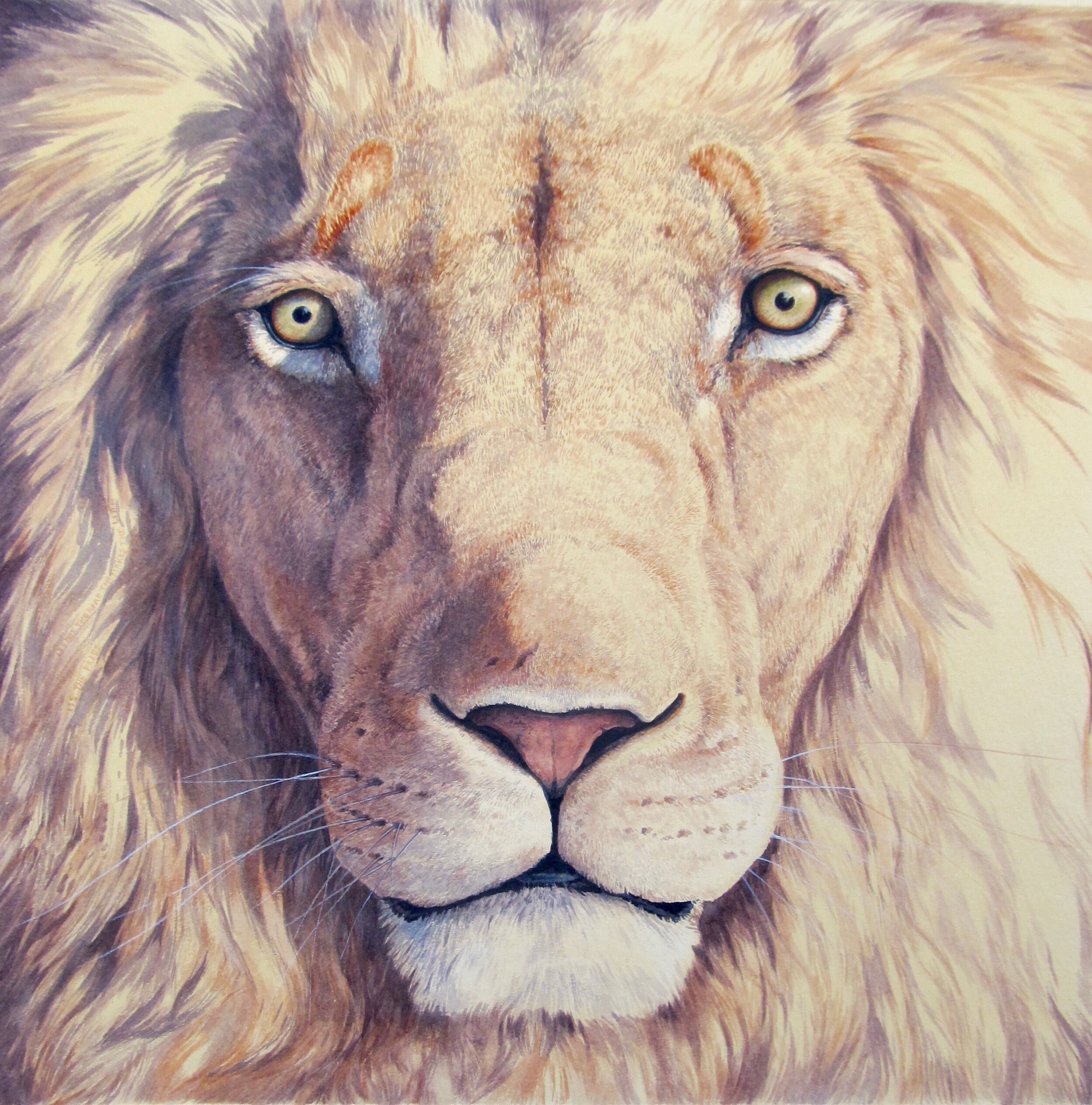 'The Lion' Auctioned in New York in aid of the Leukemia & Lymphoma Society.
