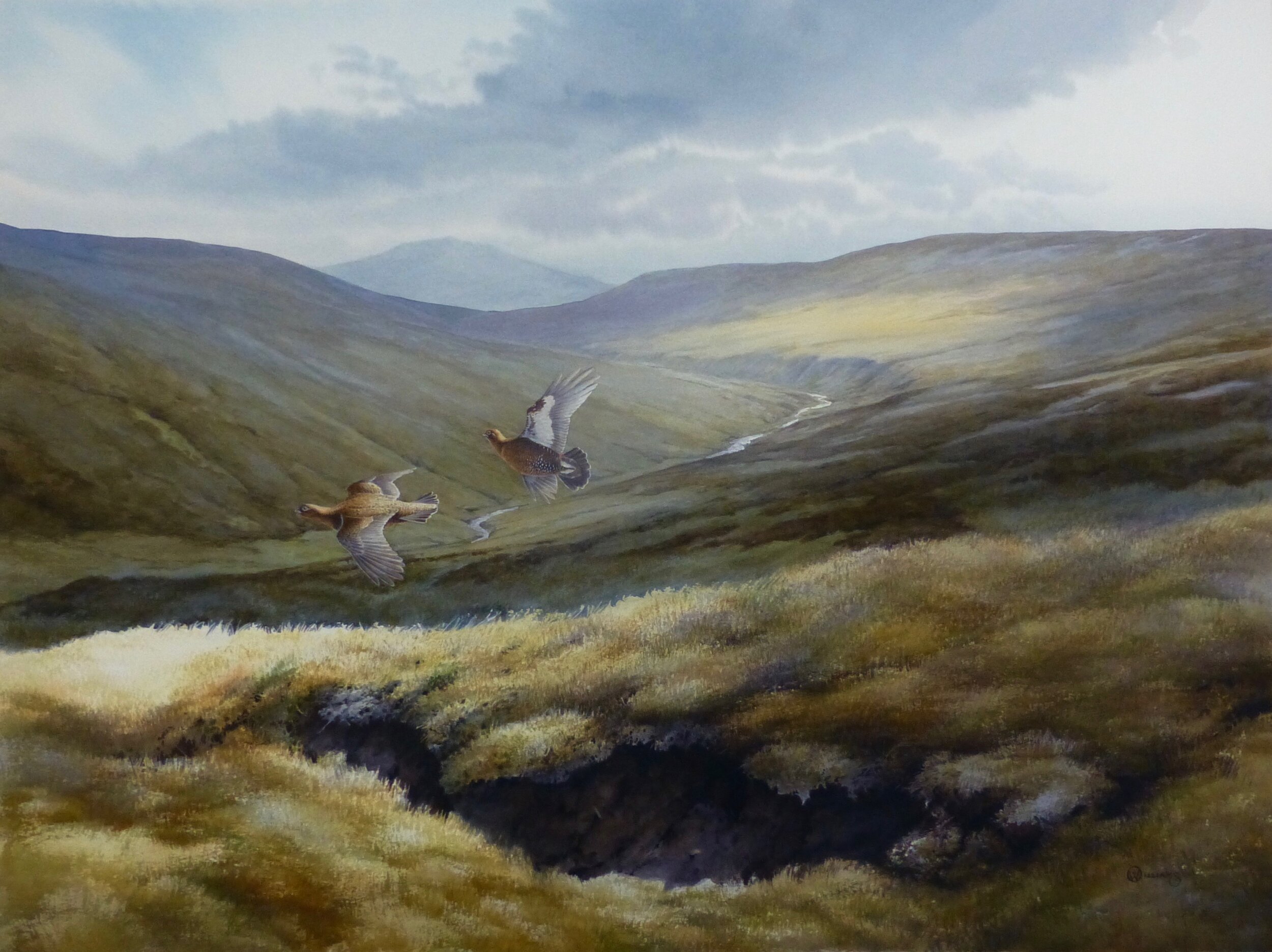 'Perthshire Grouse' SOLD