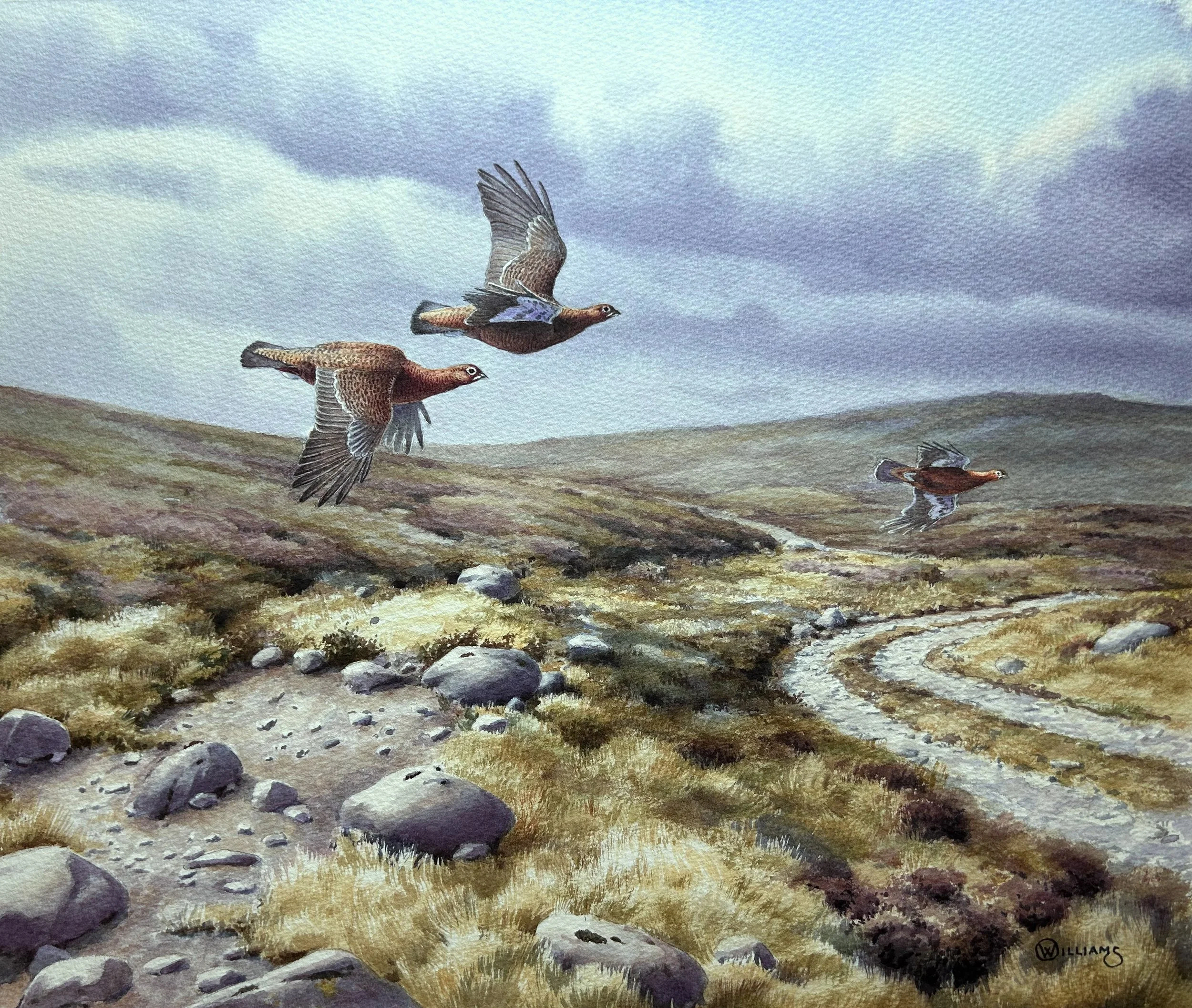 "GROUSE OVER THE TRACK"