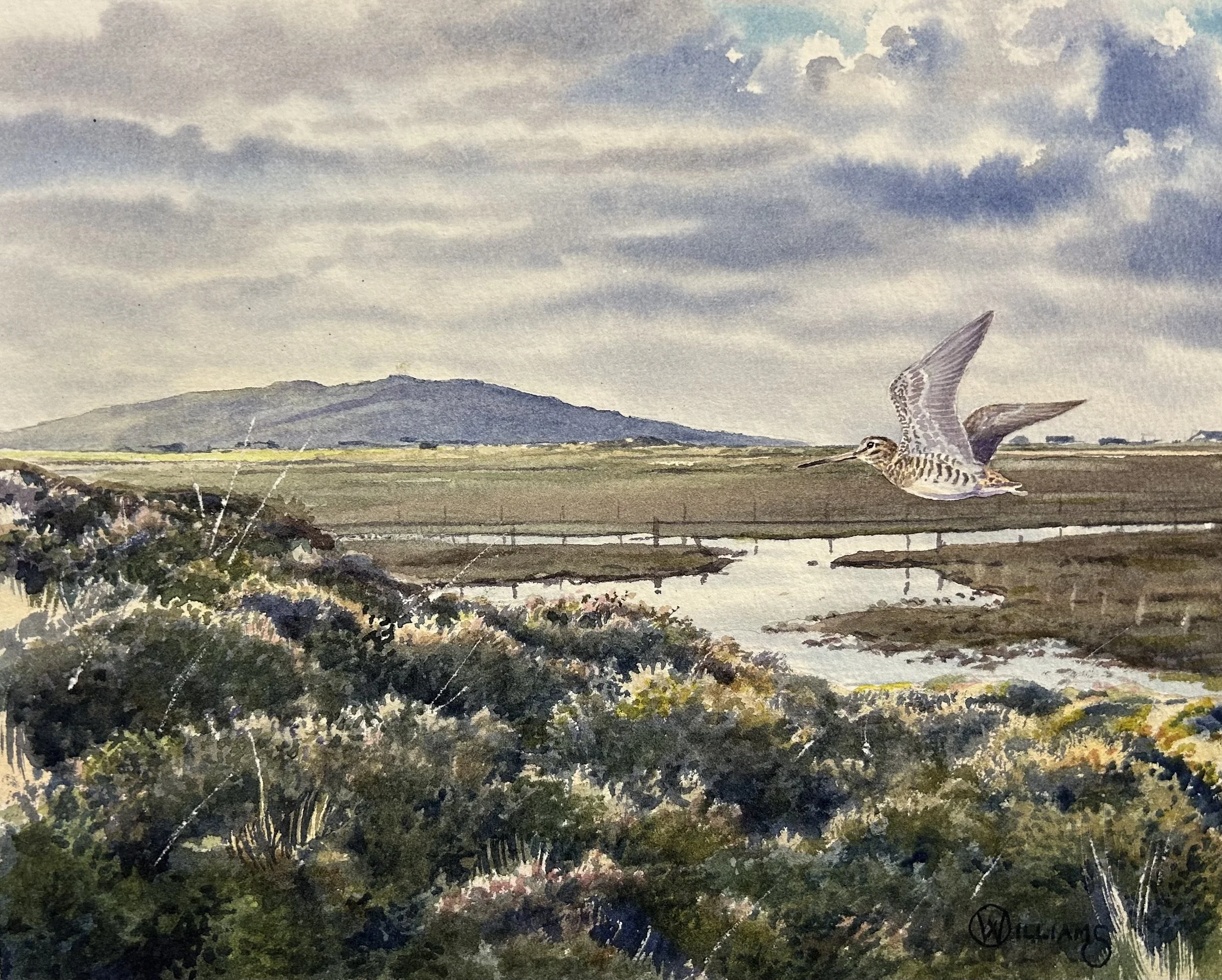 " OCTOBER MORNING - TIREE" 