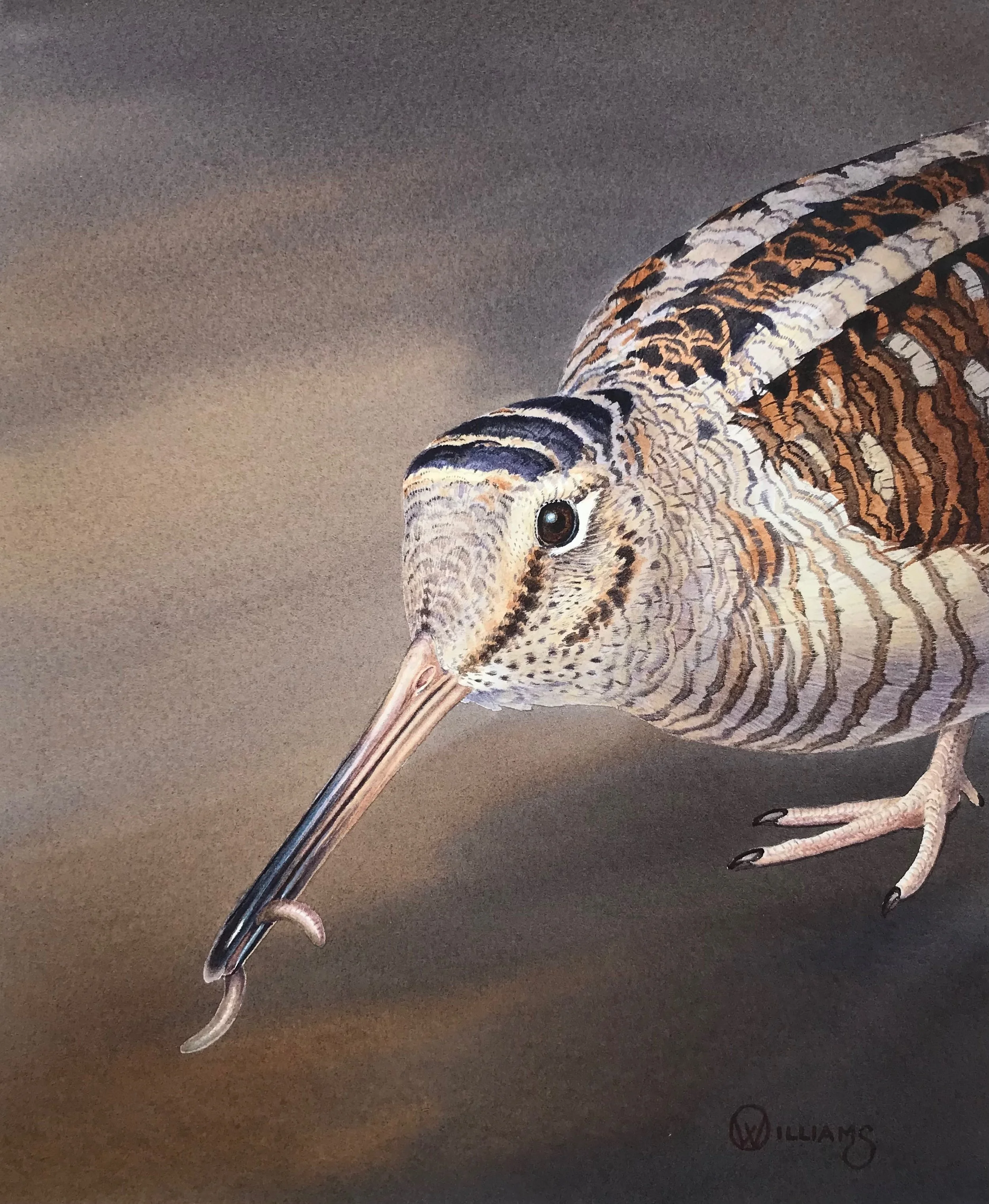 Owen W. Woodcock study.jpeg