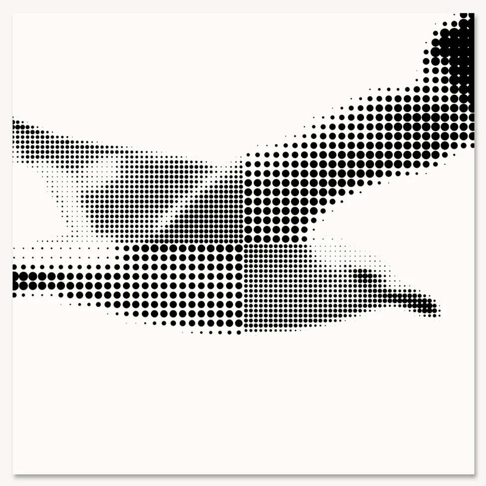 Seagull2 - SMALL 2.jpg