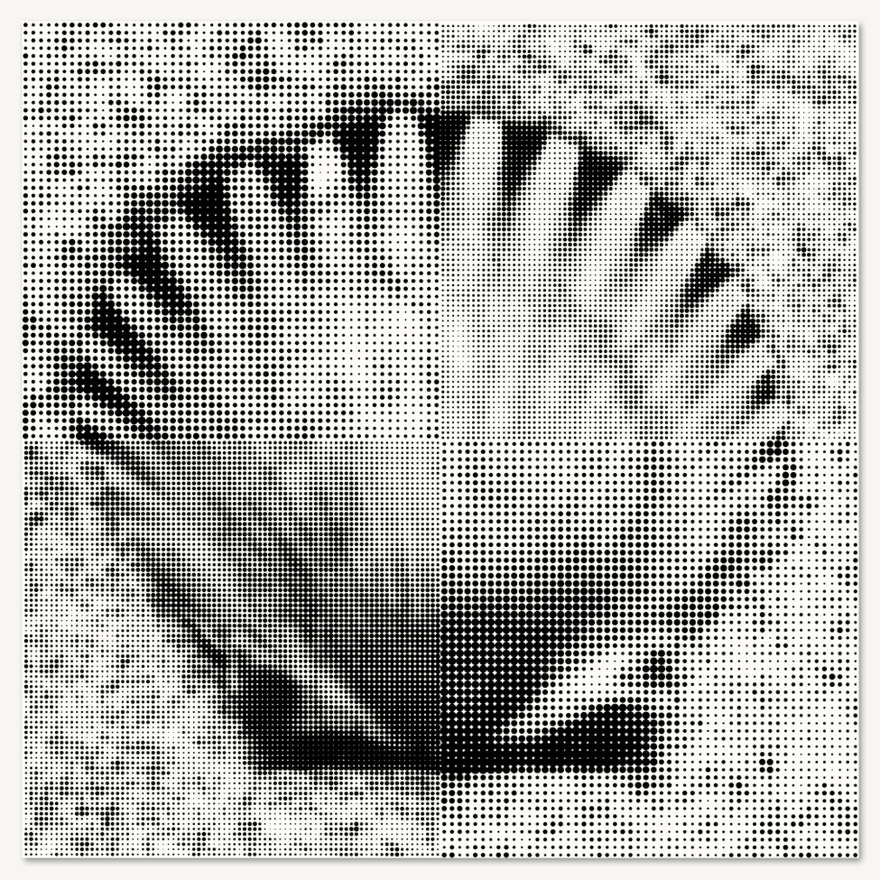 Scallop Shell - SMALL.jpg