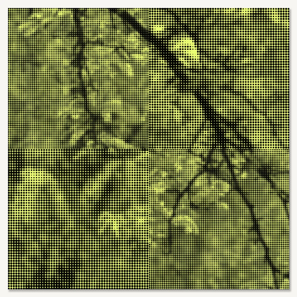 SPRING COLOR qtr- SMALL.jpg