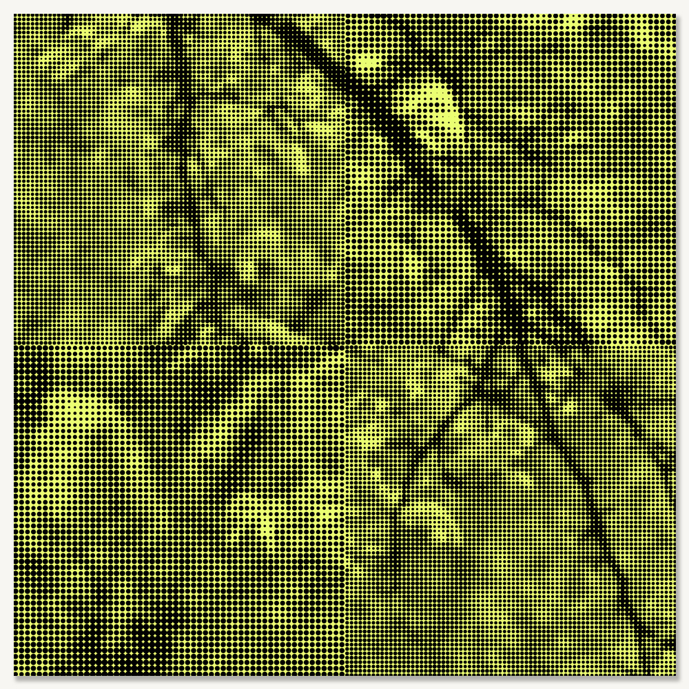 SPRING COLOR qtr - LARGE.jpg