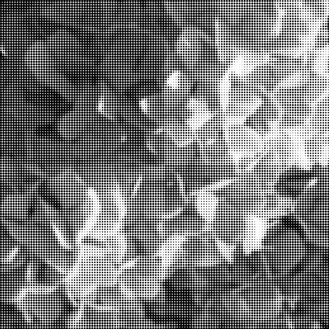 WHITE HYDRANGIA LARGE copy.jpg
