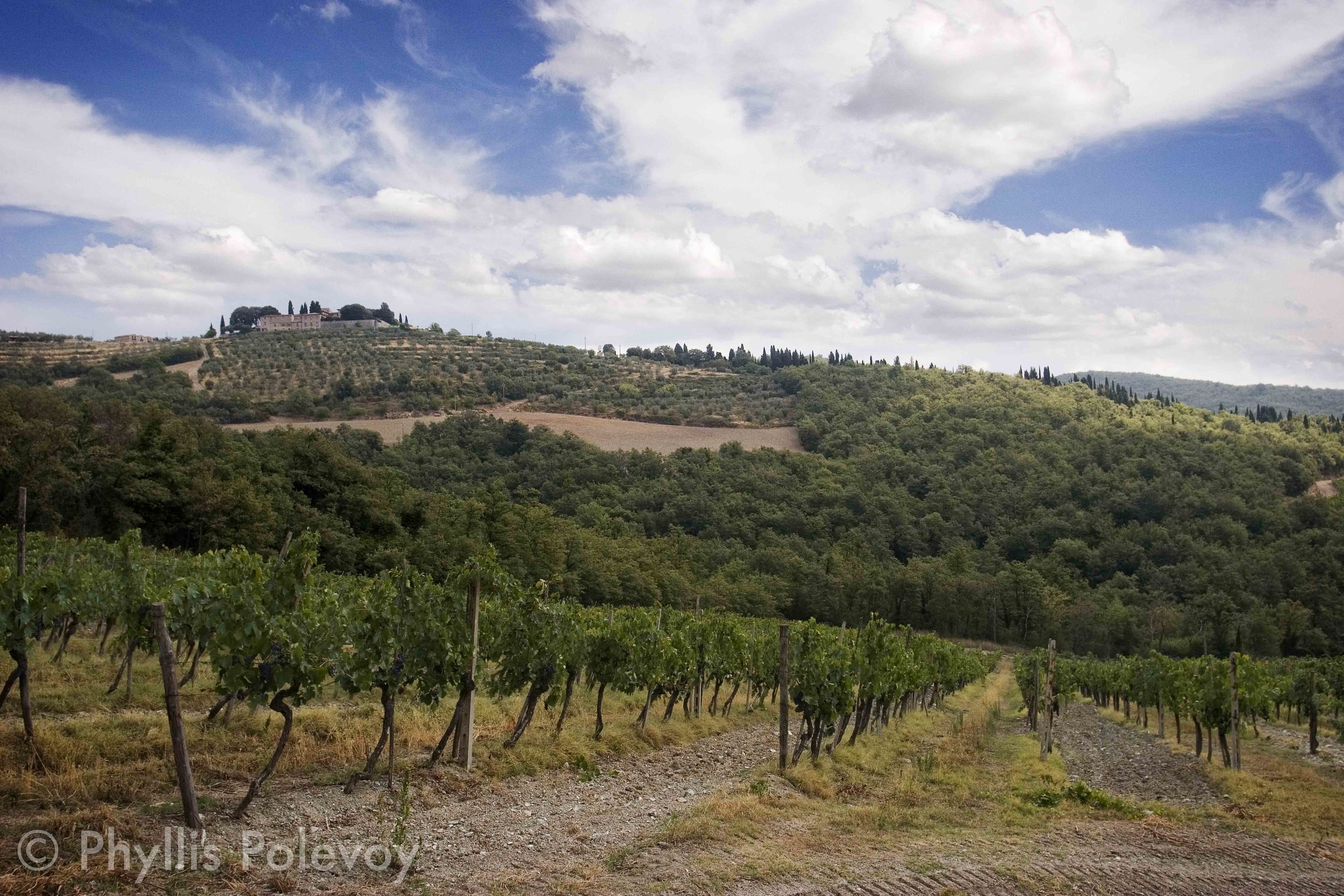 La Bella Toscana, #014