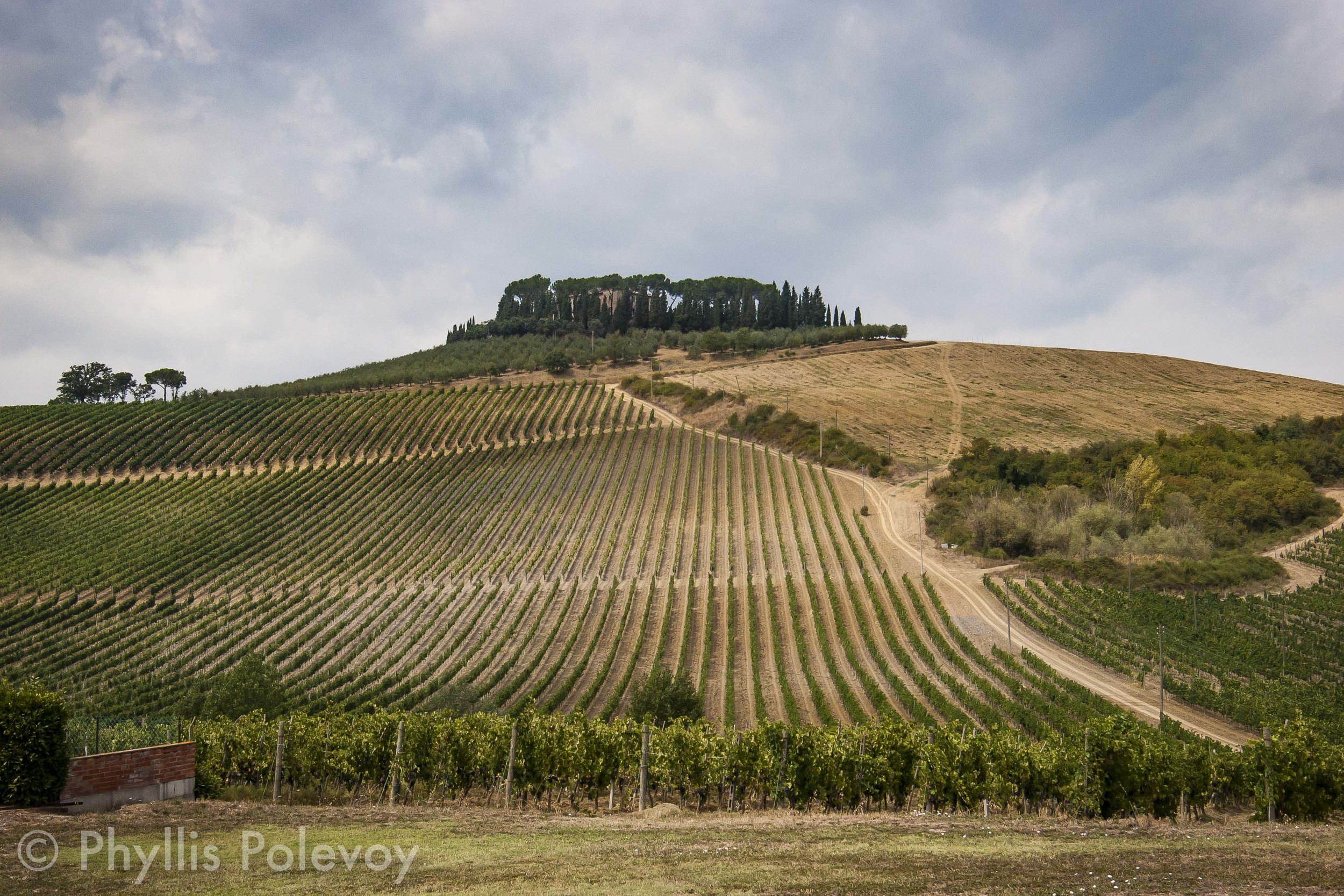 La Bella Toscana, #017