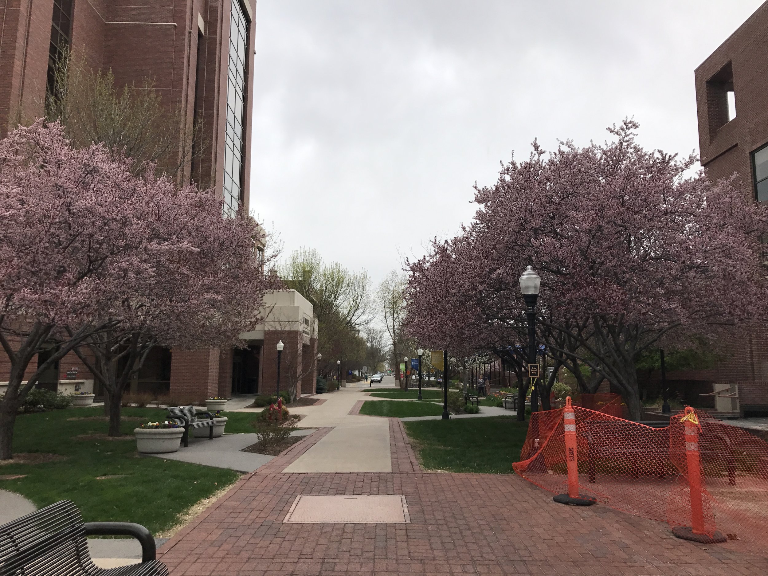 The City of Boise and St. Luke's are trying to decide the future of a current plaza through the Health System's Downtown Boise campus. Don Day/BoiseDev.com