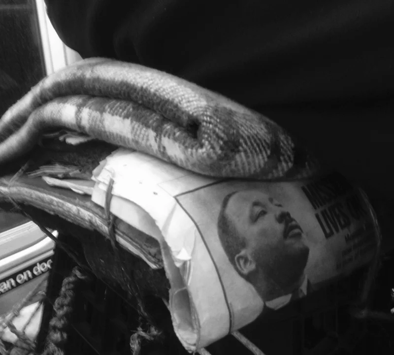 The image of MLK -is imbued with indignant rage. This man never leaves the train - he repeats the same routes day in and day out. Engaged in a repetition to resolve an old script in his head. The voices that speak to him replays an old tune. "In any encounter, we have a choice: we can strengthen our resentment or our understanding and empathy. We can widen the gap between ourselves and others or lessen it" -Pema Chodron