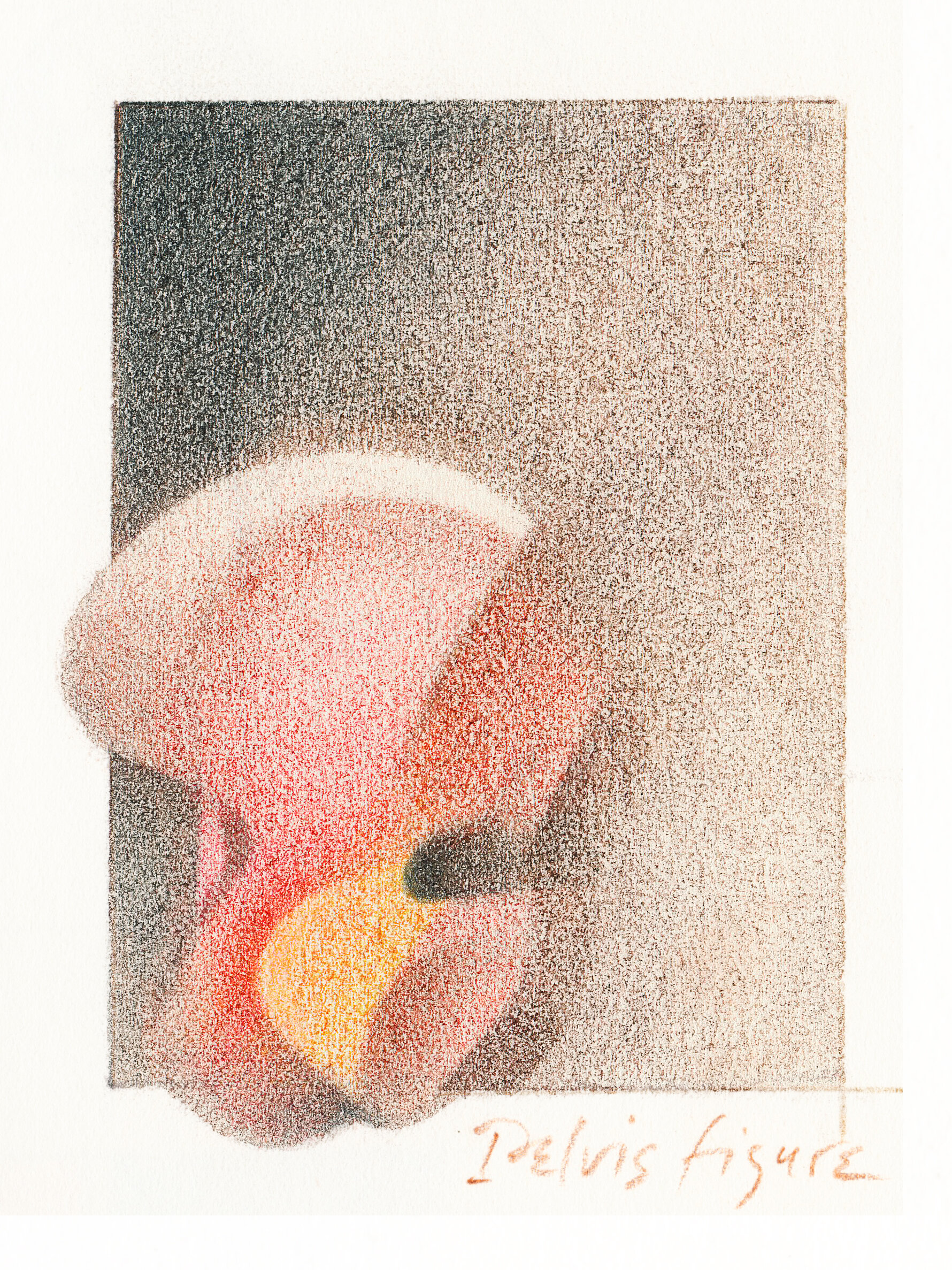  color pencil on paper 