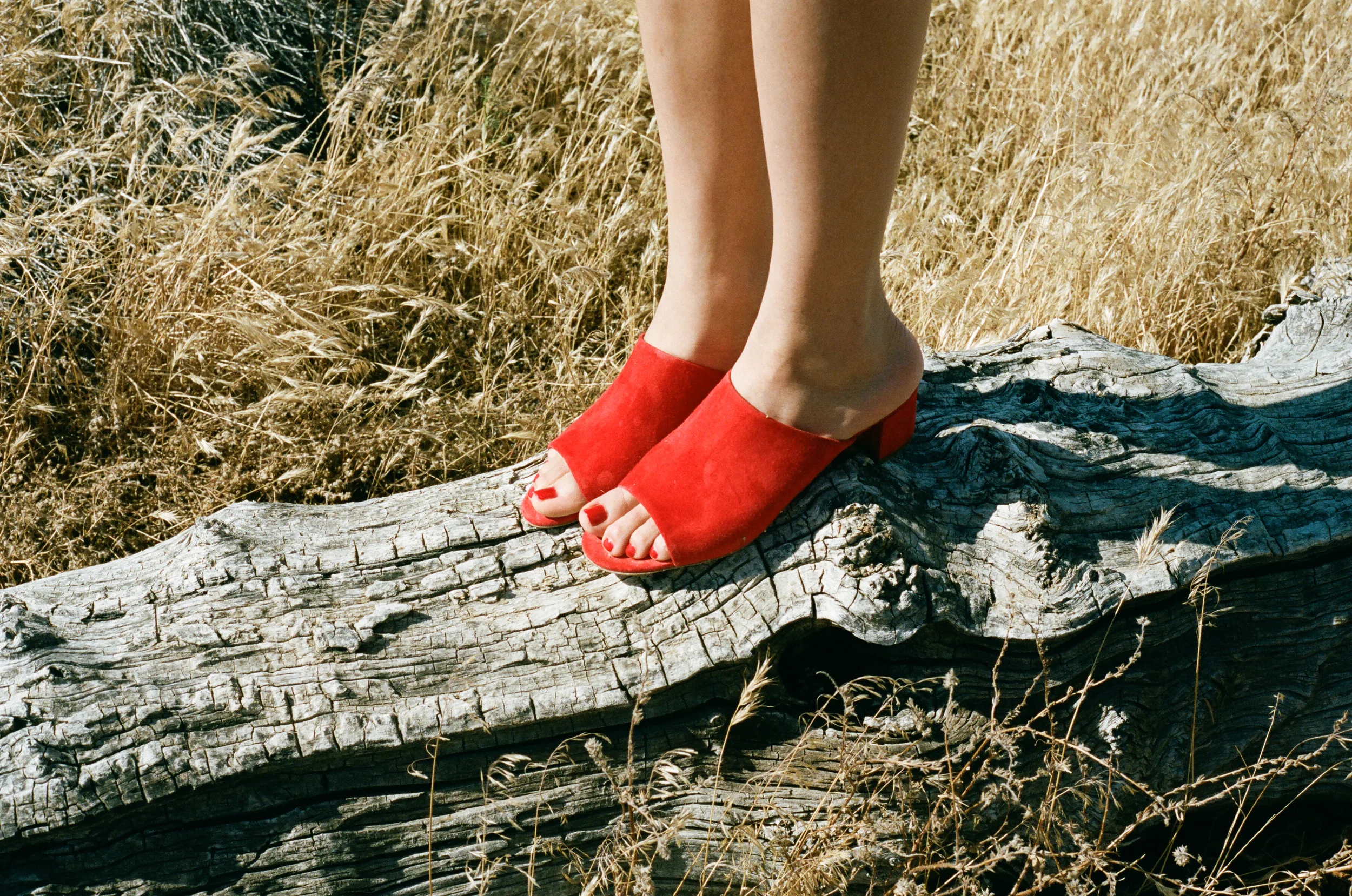 mansur_gavriel_amber_mahoney_004.jpg
