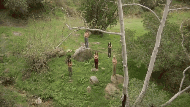 279370666.gif