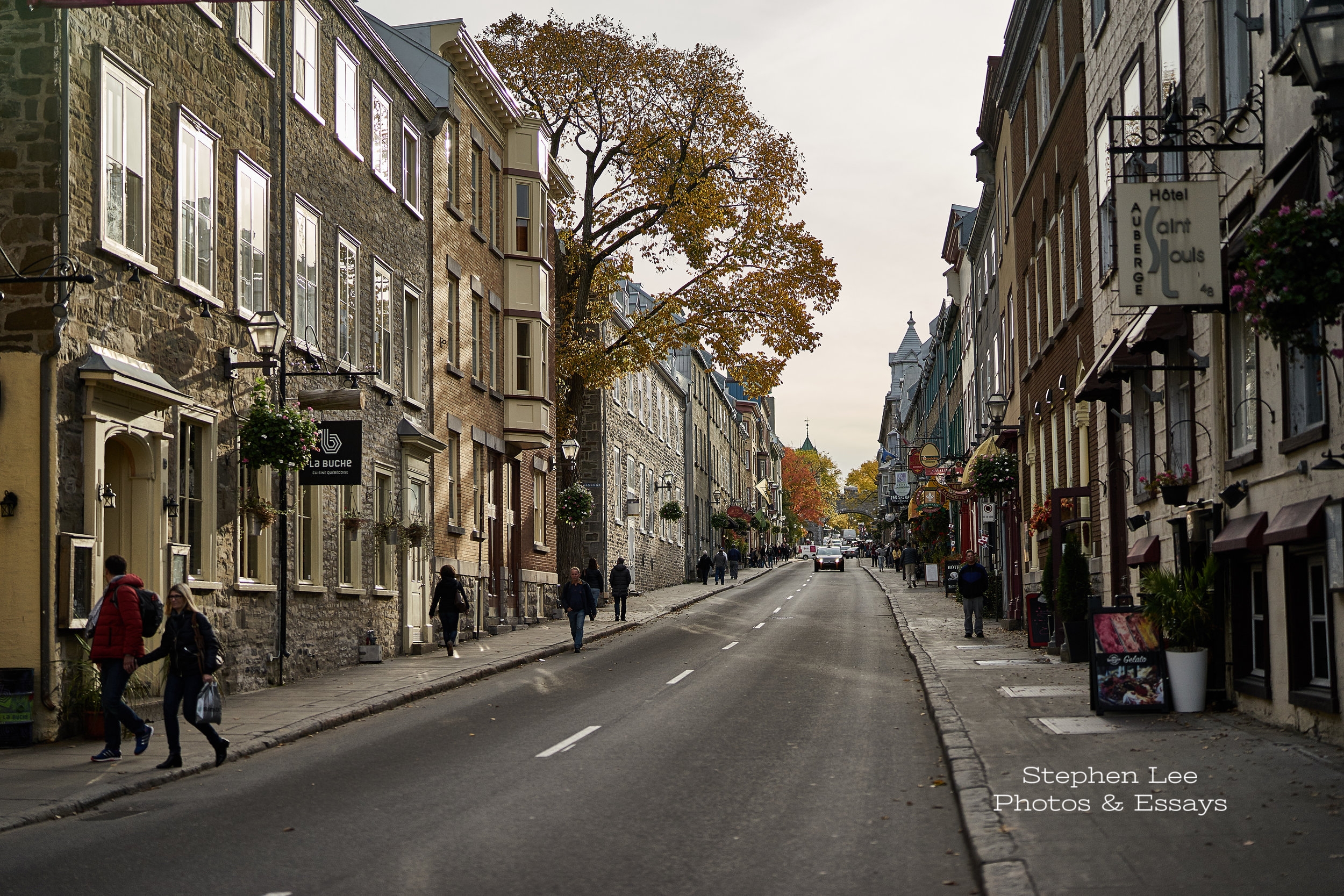 QC_DSC3957.jpg