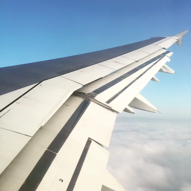 Heading Home!