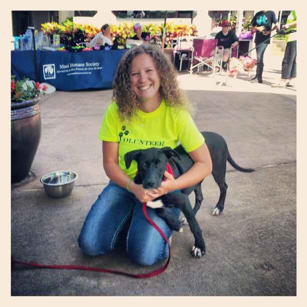 Adopt a dog is an event created to socialize the public with the dogs available for adoption at the Maui Humane Society. Adoptions are proven to increase when awareness is brought to the unique breeds that need homes.