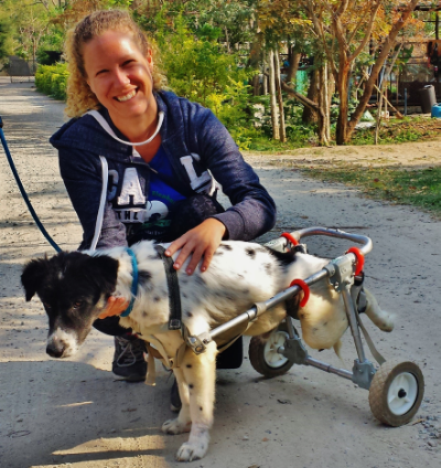 Adopt a Dog Project, Chiang Mai, Thailand