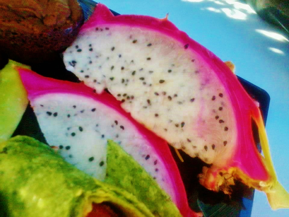 Dragon Fruit