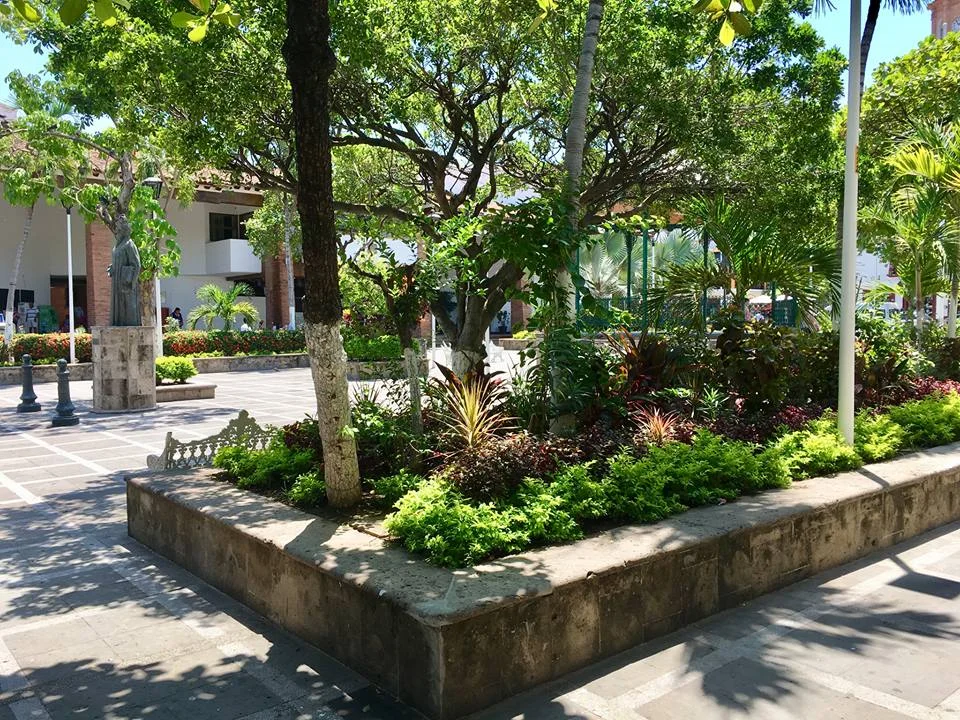 @Vallartagardenclub