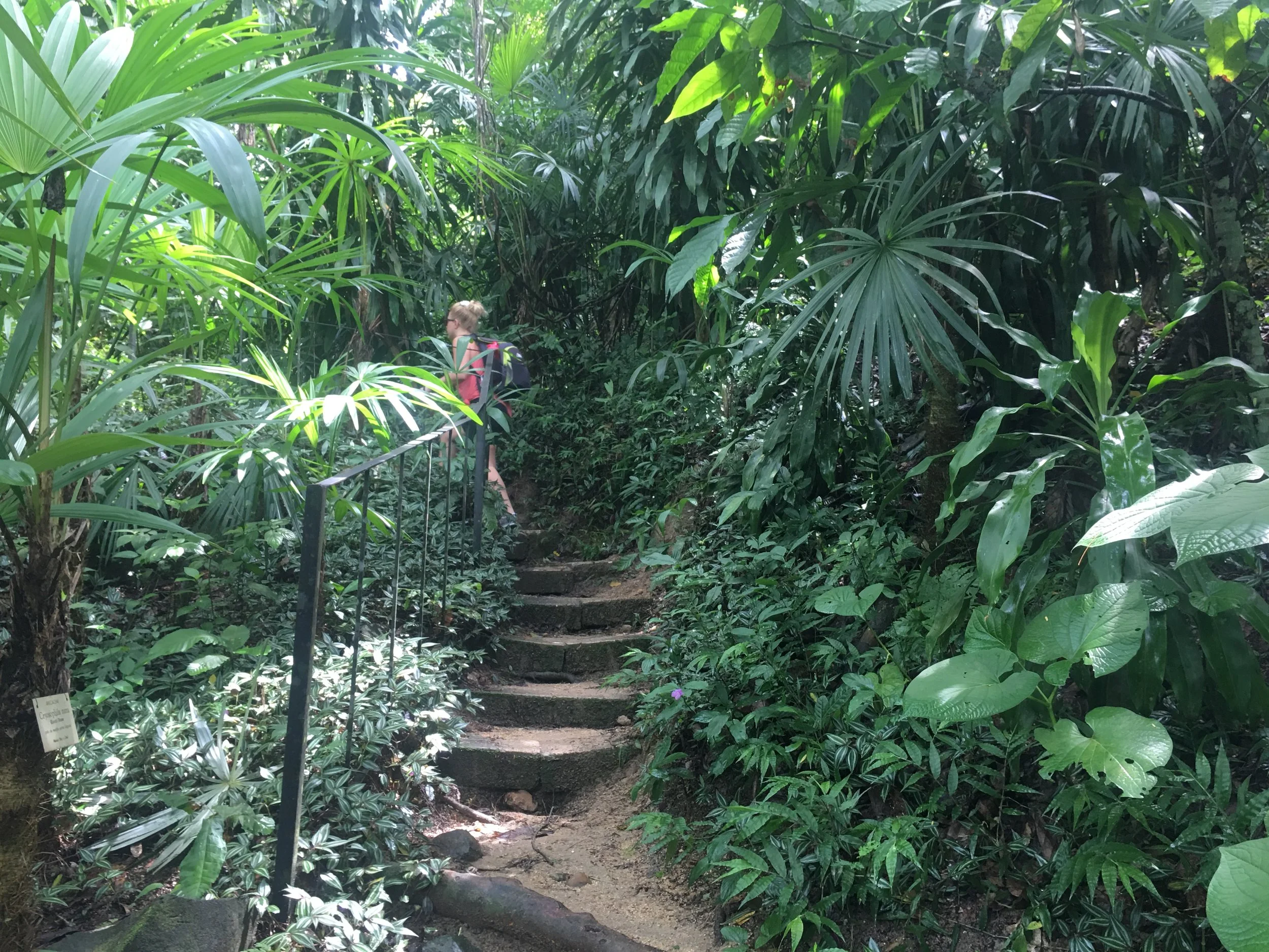 Guest exploring tropical trail in Puerto Vallarta Botanical Gardens with My Deztination.