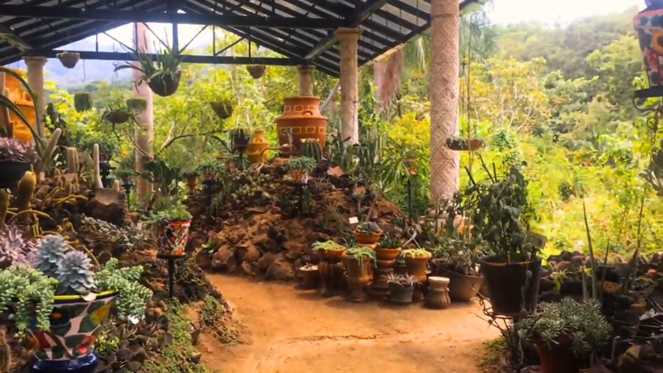 Succulent garden area inside Puerto Vallarta Botanical Gardens with My Deztination.