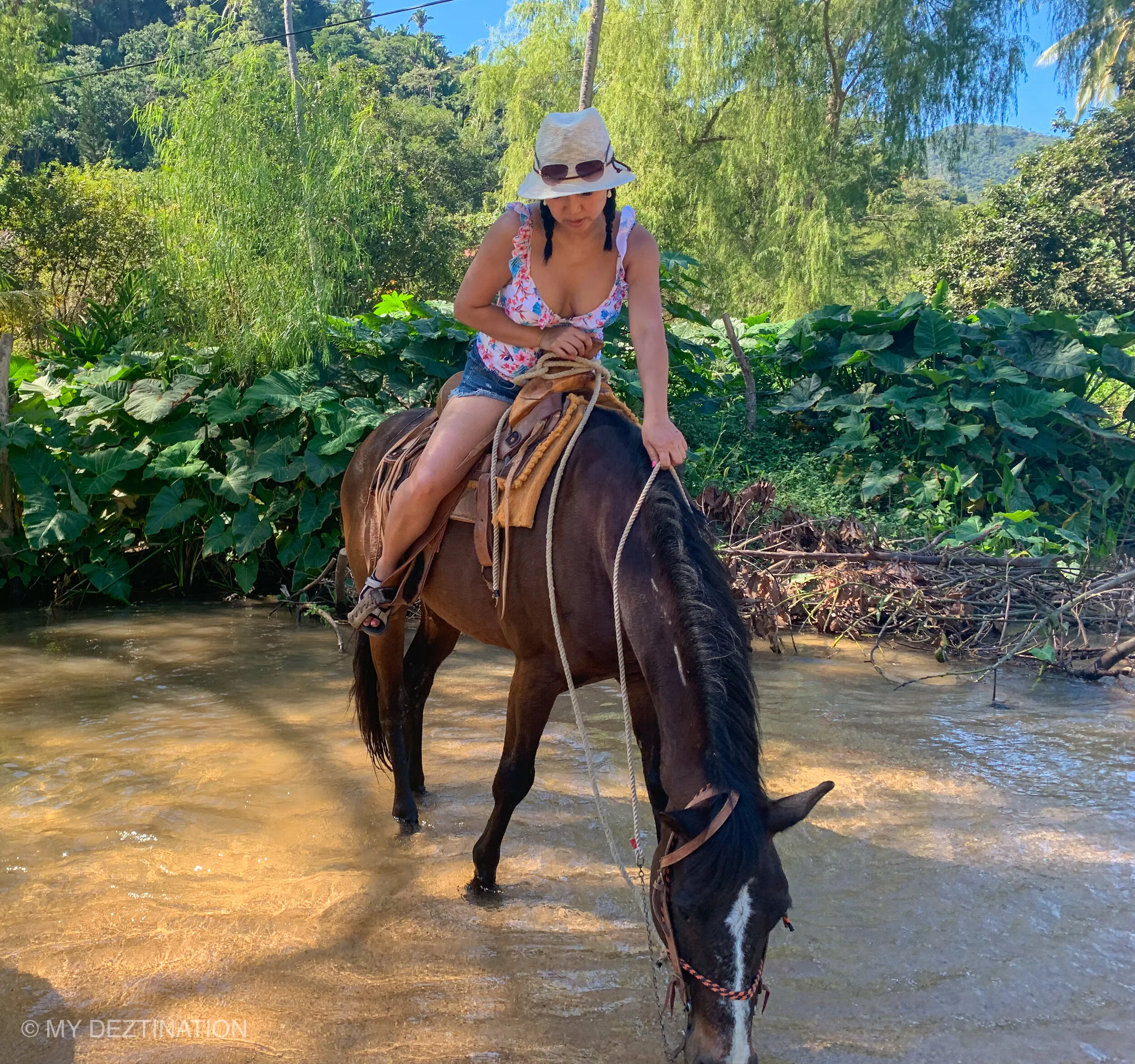 Guest letting horse drink from Yelapa river on boutique guided ride.