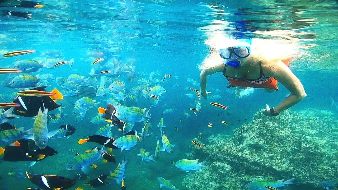 Woman snorkeling with mask and snorkel among fish on My Deztination tour.
